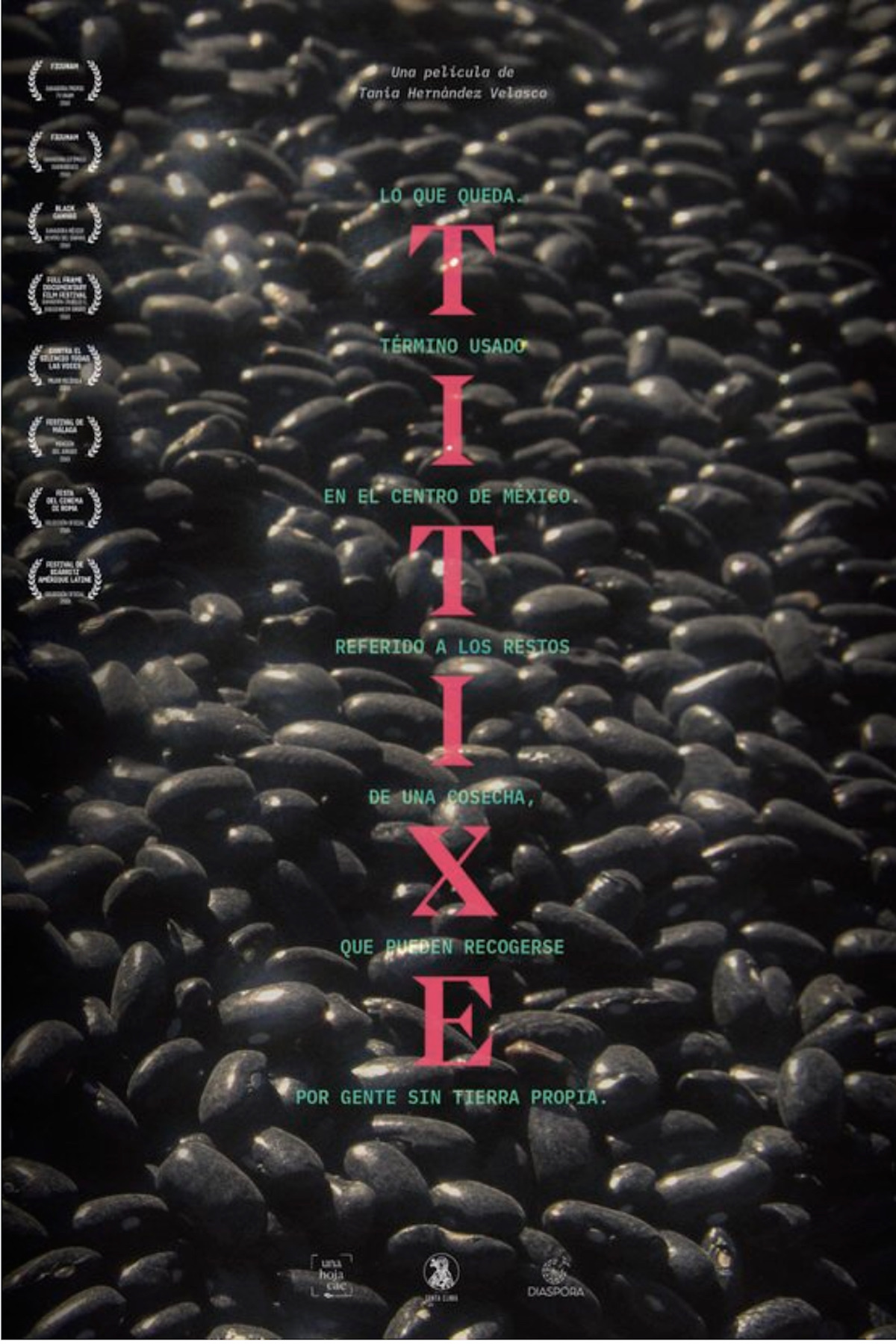 Titixe