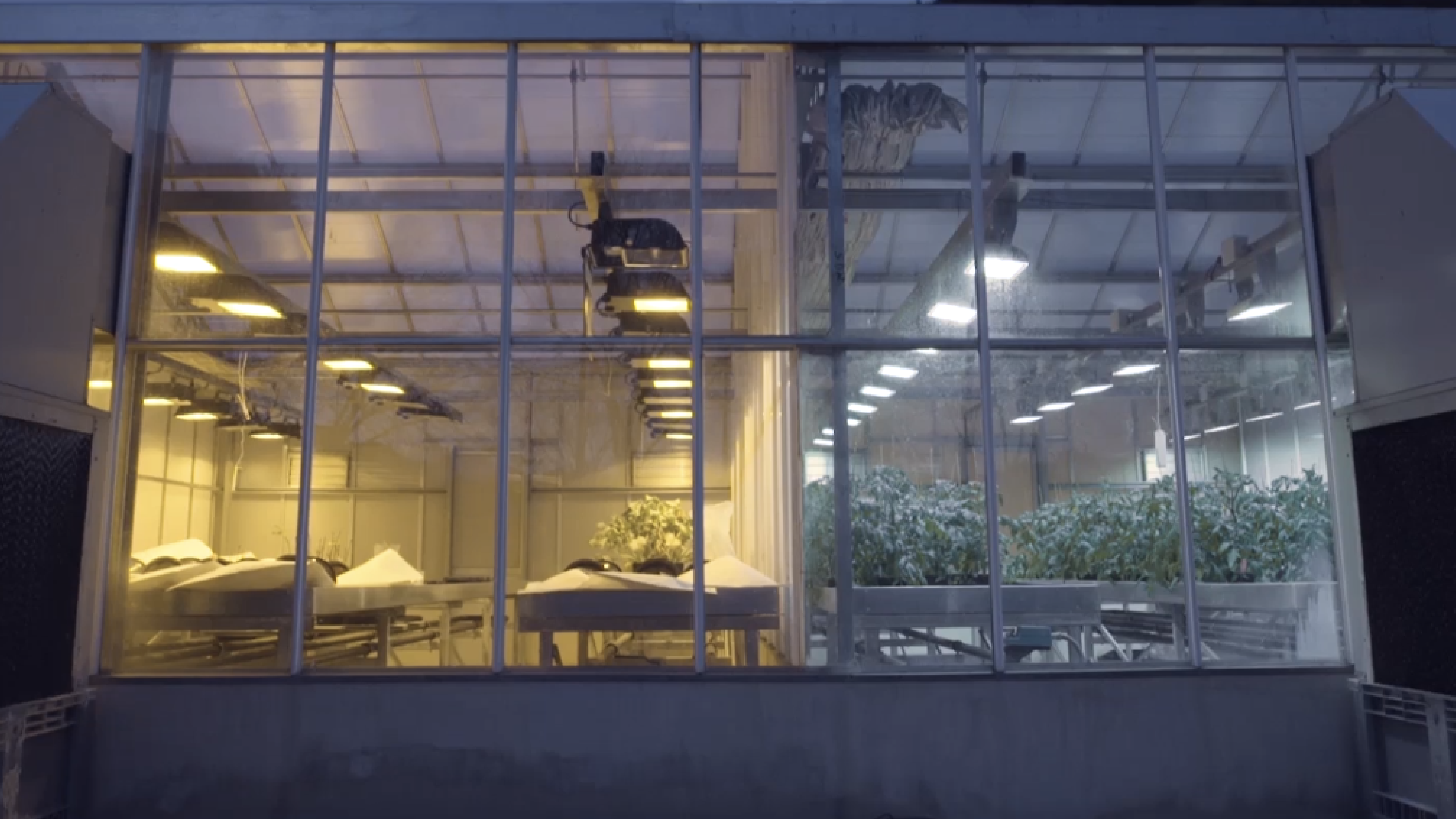 El precio del progreso