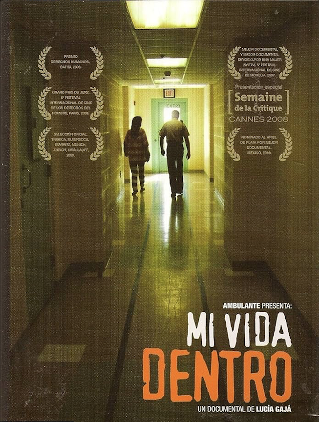 Póster de Mi vida dentro