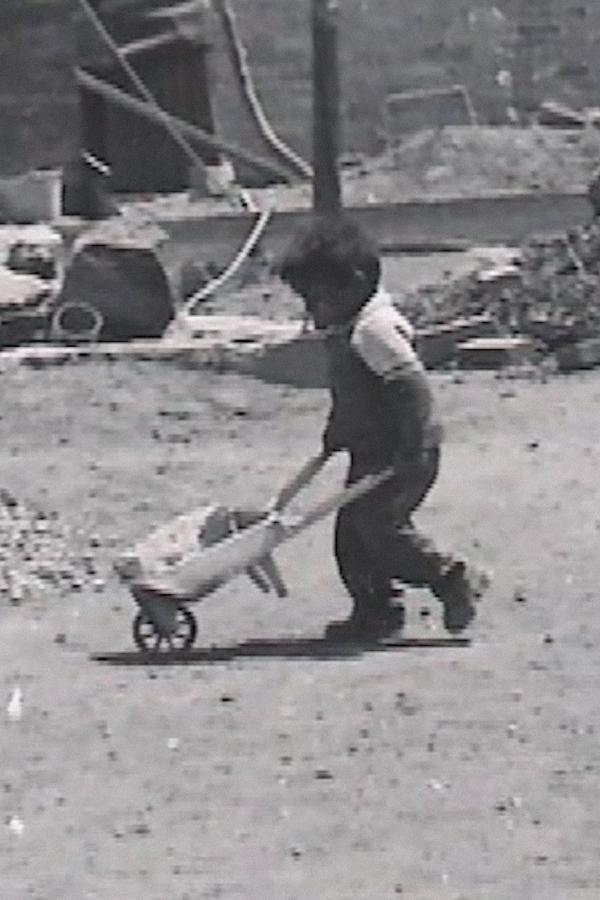 El pedregal de Santo Domingo. La invasión