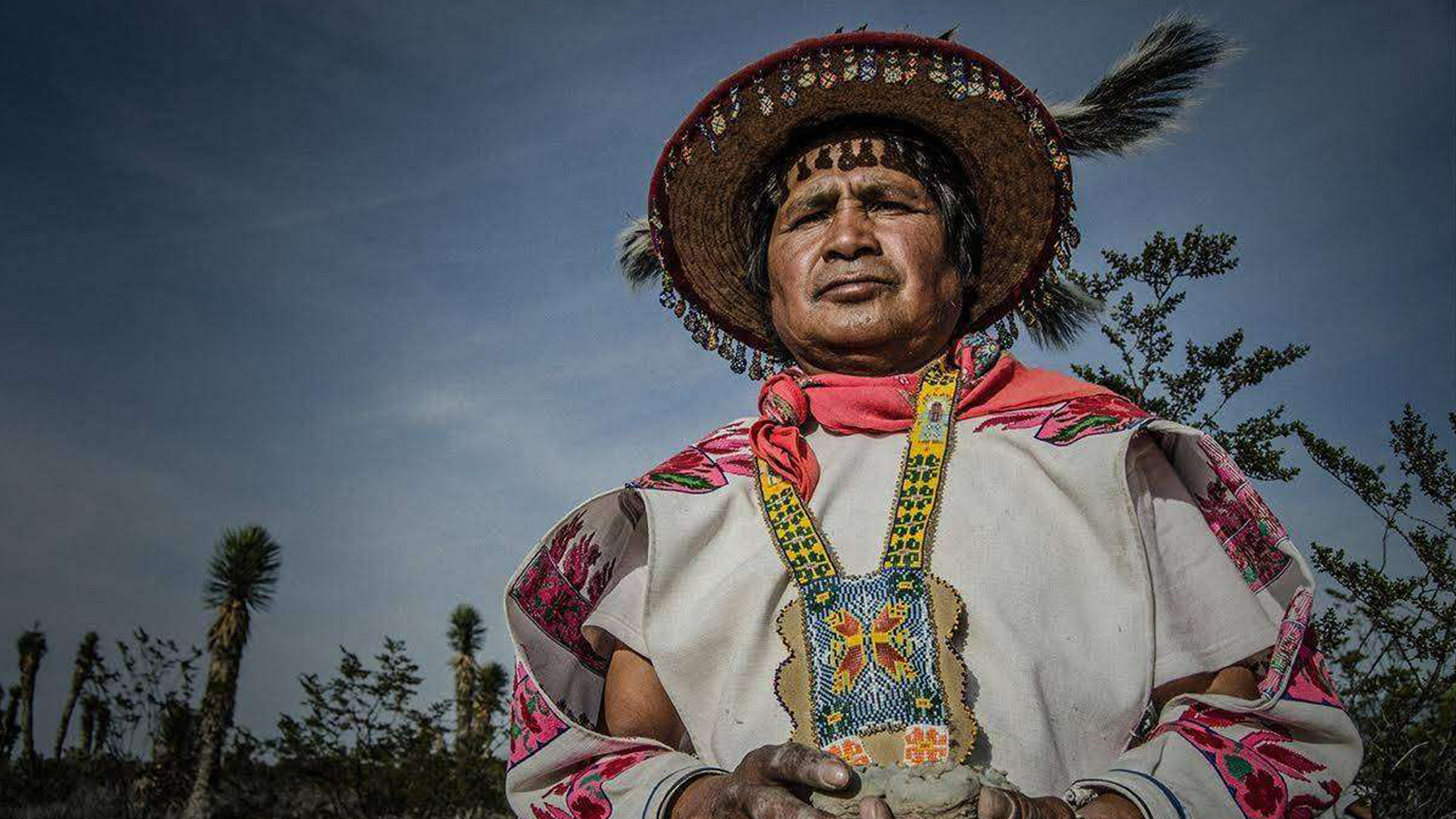 Huicholes. Los últimos guardianes del peyote
