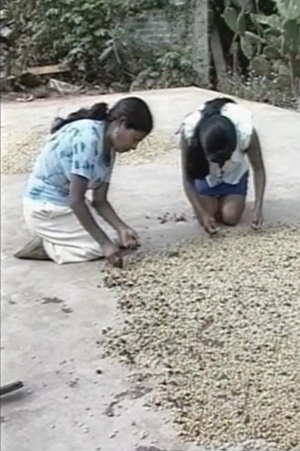 Mujeres del mismo valor