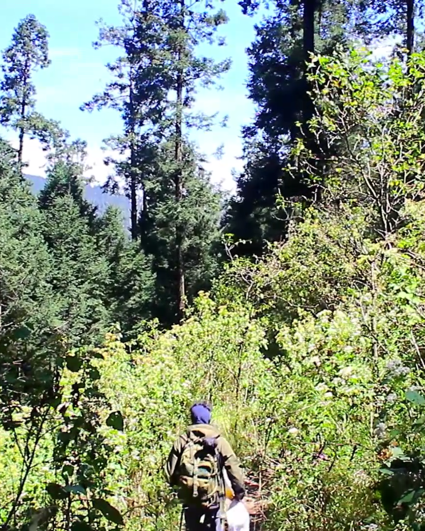 Póster de Los nuevos guardianes