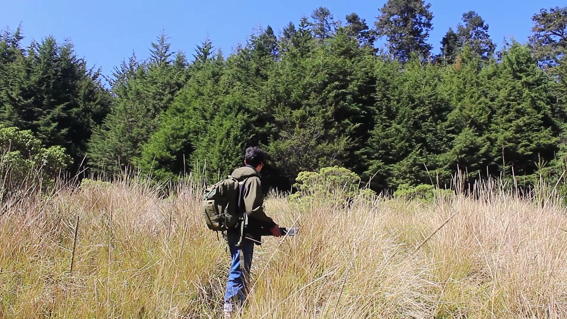 Los nuevos guardianes