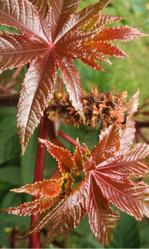 Póster de Entre la incertidumbre y la certeza