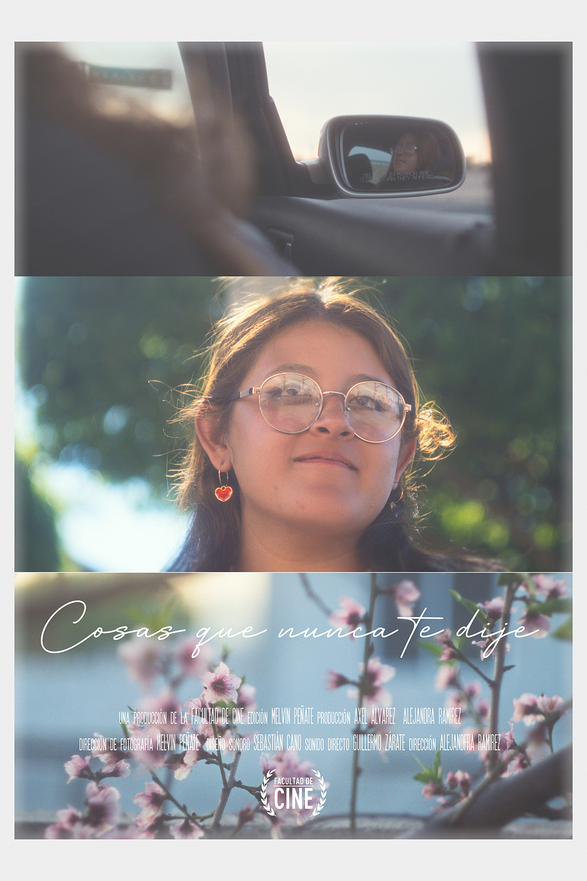 Póster de Cosas que nunca te dije