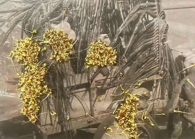 Póster de El festín de los gusanos