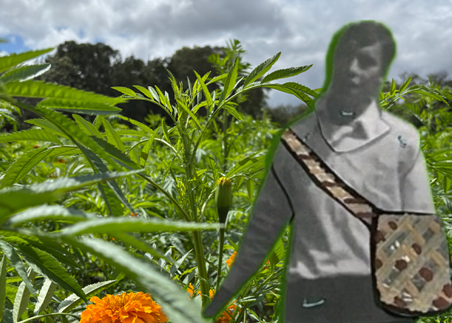 Póster de La flor es cuerpo