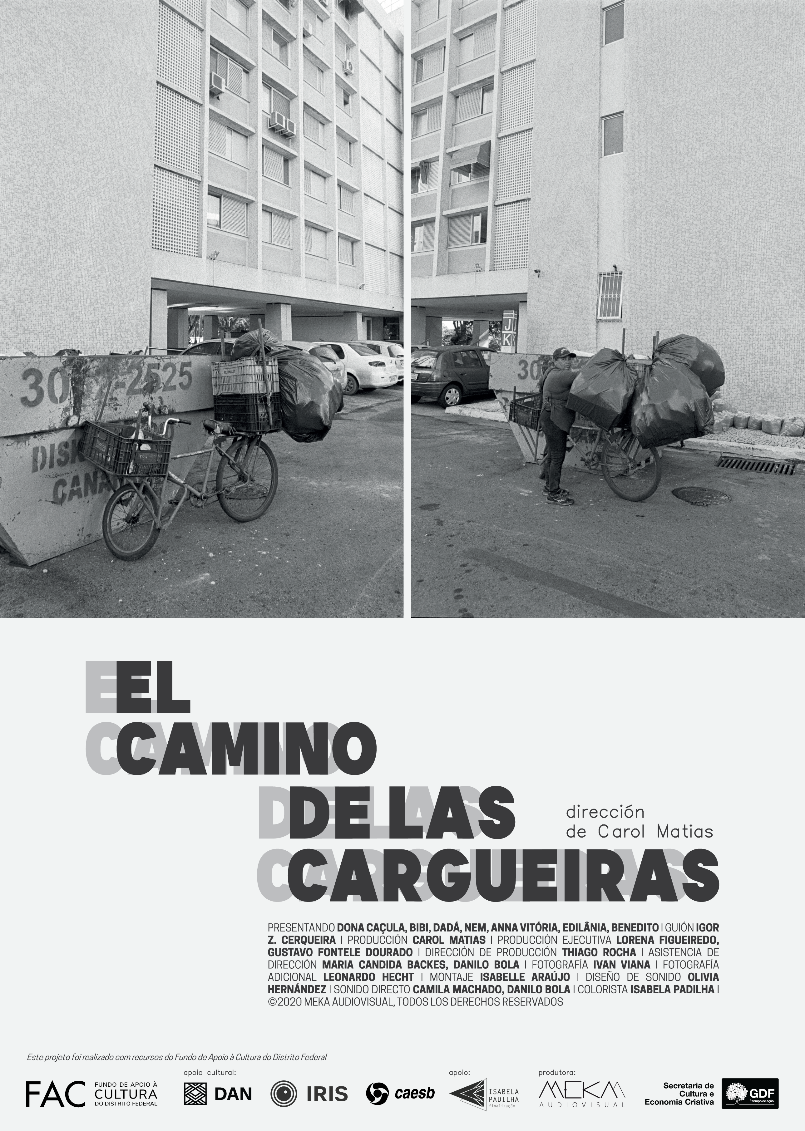 Póster de El camino de las cargueiras
