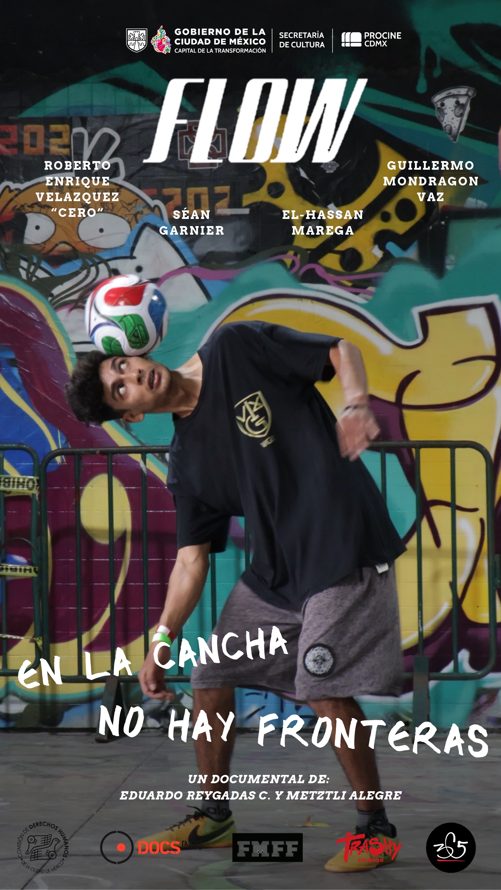 Póster de Flow