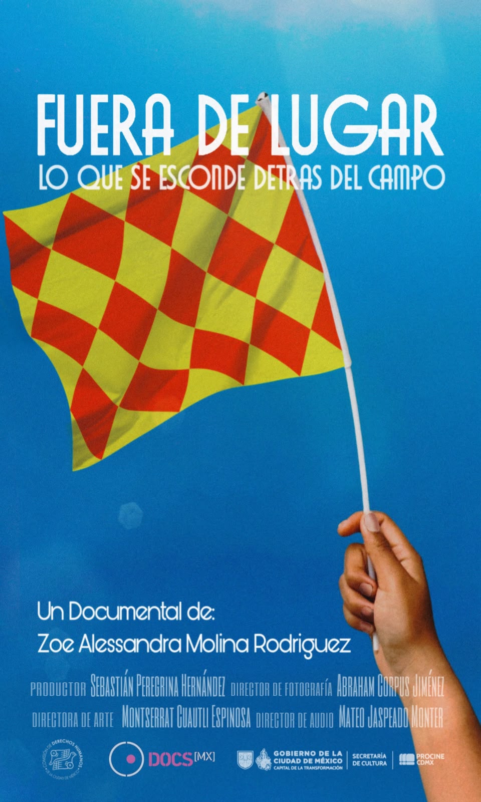 Póster de Fuera de lugar: lo que se esconde detrás del campo
