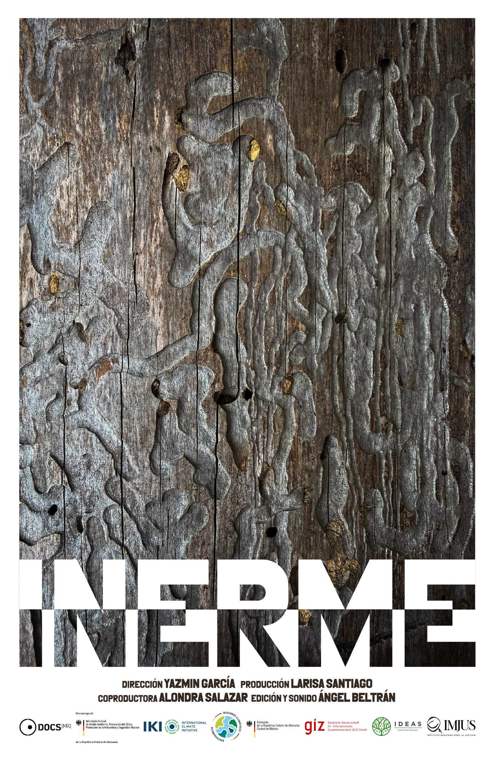 Póster de Inerme
