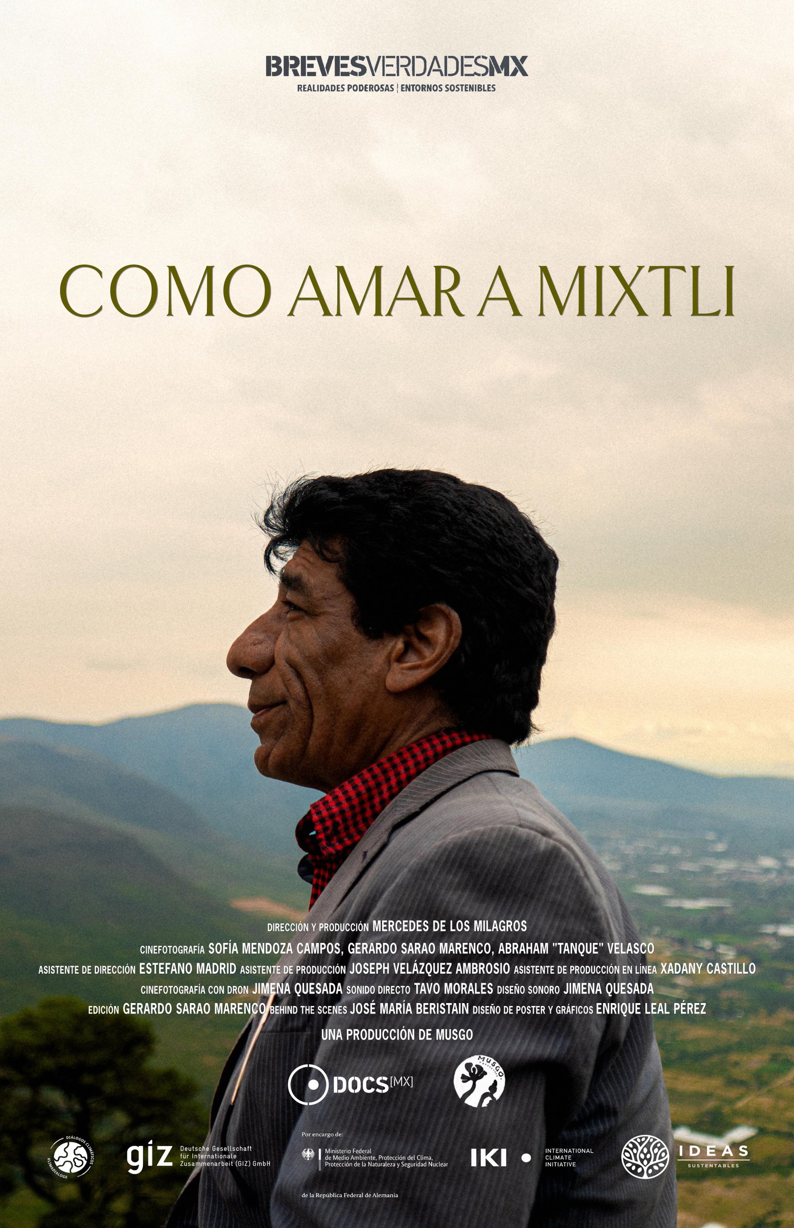 Póster de Cómo amar a mixtli