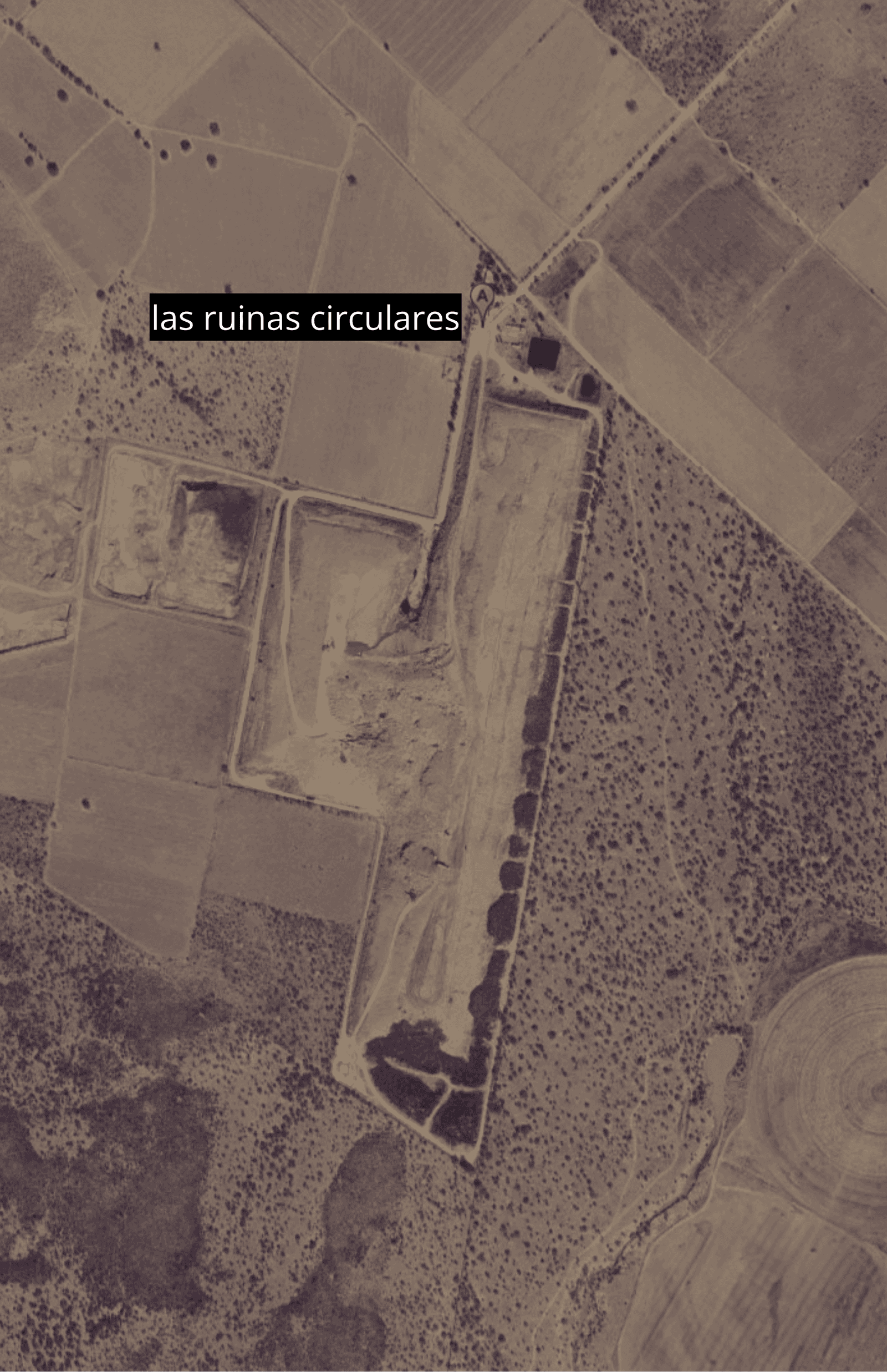 Póster de Las ruinas circulares