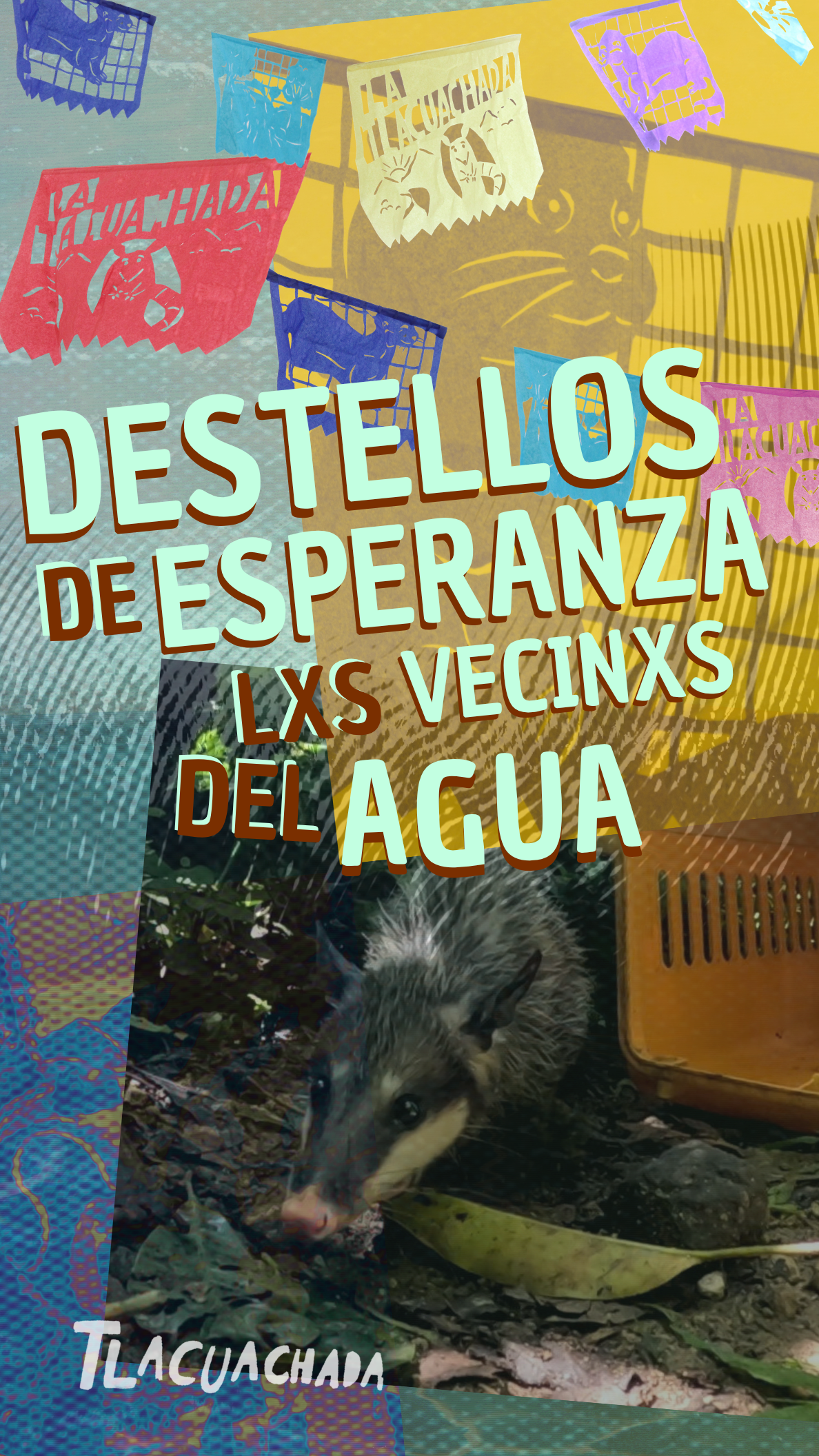 Póster de Destellos de esperanza: los vecinos del agua