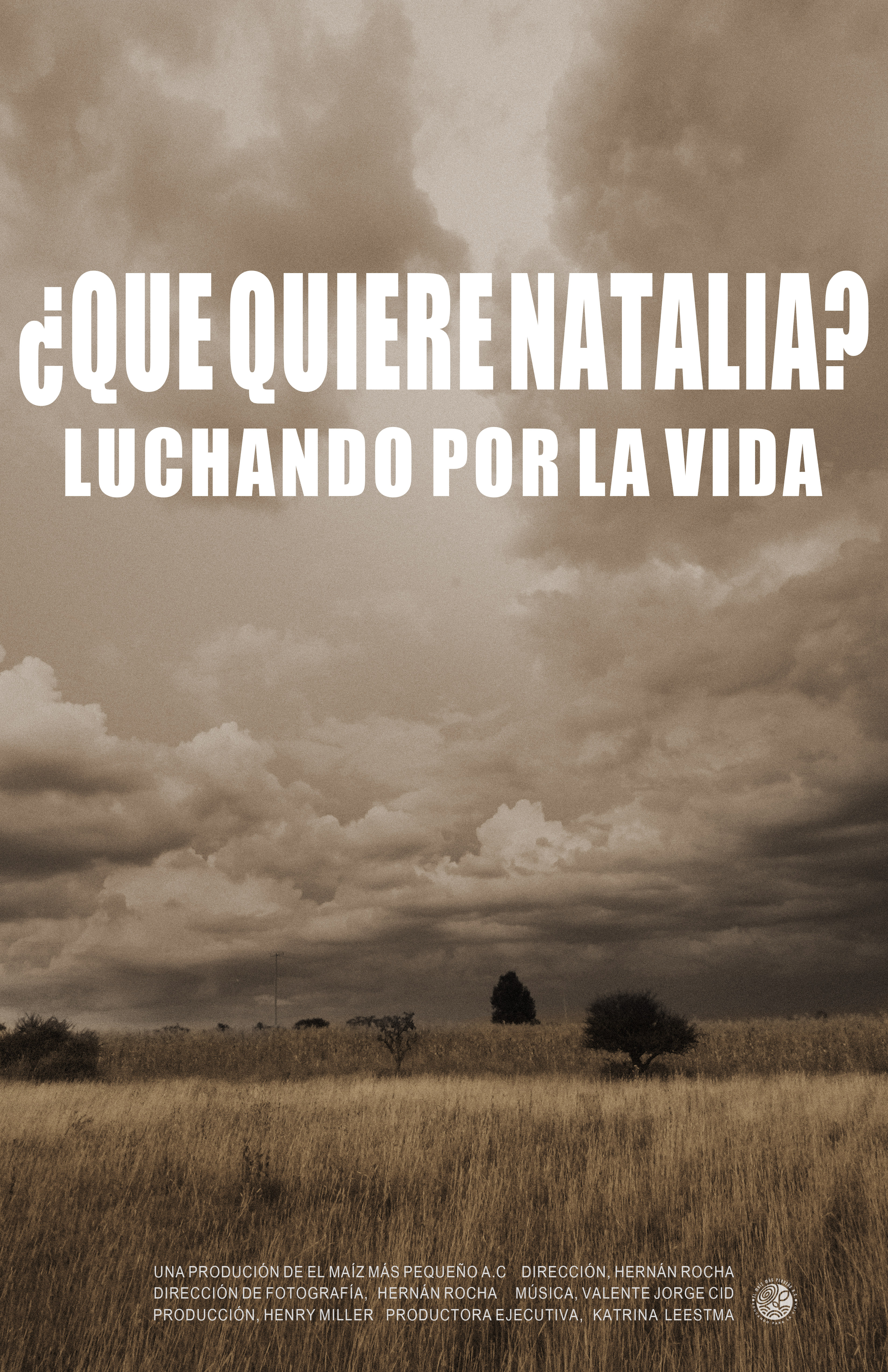 Póster de ¿Qué quiere Natalia?